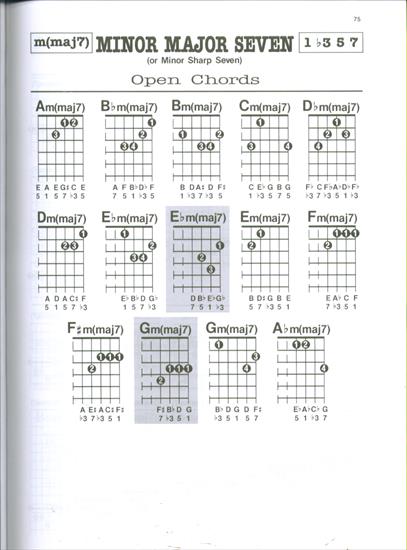 GUITAR CHORDS PG 51_75 - GUITAR CHORDS PG 75.JPG