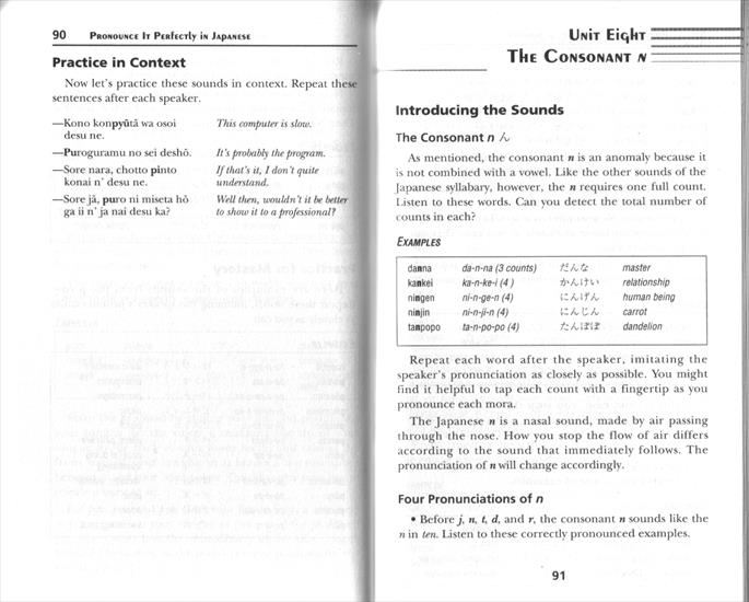 Book - PIP_Japanese_doc23.gif