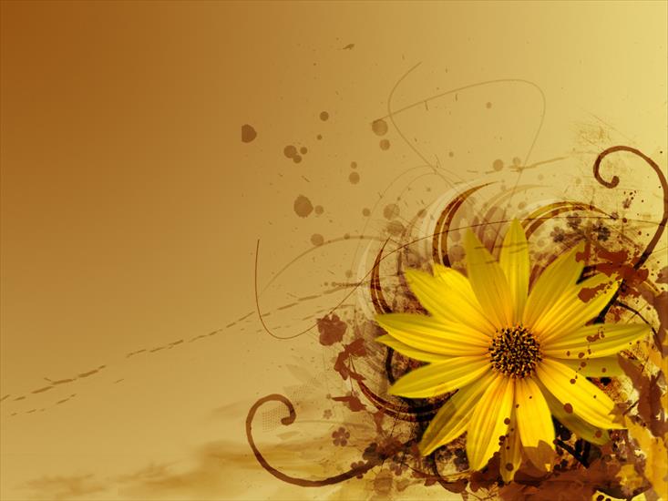 Tapety - yellow-flower1.jpg