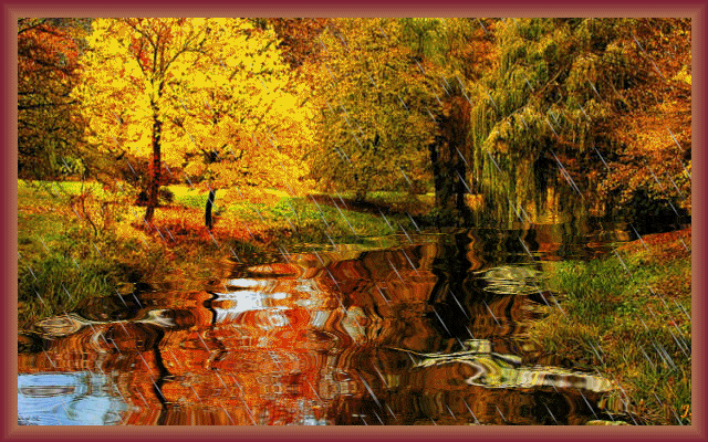 KOLOROWA JESIEŃ - stylowi_pl_nauka-i-natura_jesienny-deszcz_13013436.gif