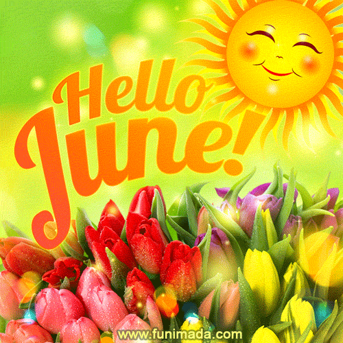 HELLO JUNE - hello-summer-4.gif