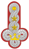 Stopnie Wojska Polskiego 1917 - generał dywizji wz.17.gif