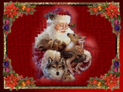 Święta Bożego Narodzenia - obrazki i gify - pic_2005-12-05_223731.jpg