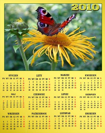 Kalendarze z motylkami - Bez nazwy 11.jpg