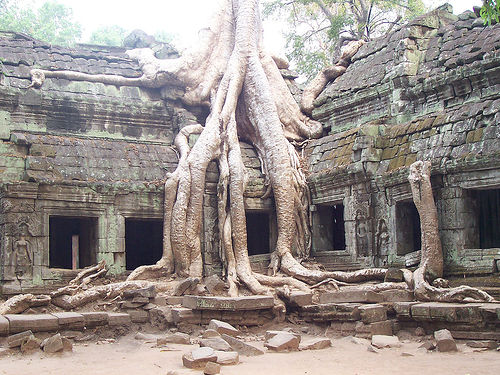  CIEKAWOSTKI  NATURY  - Angkor-Wat-Cambodia-ta-prohm-red-betty-black-best-picture-gallery.jpg