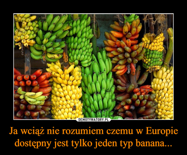 Demotywatory, Wiocha i Inne - Banany.jpg