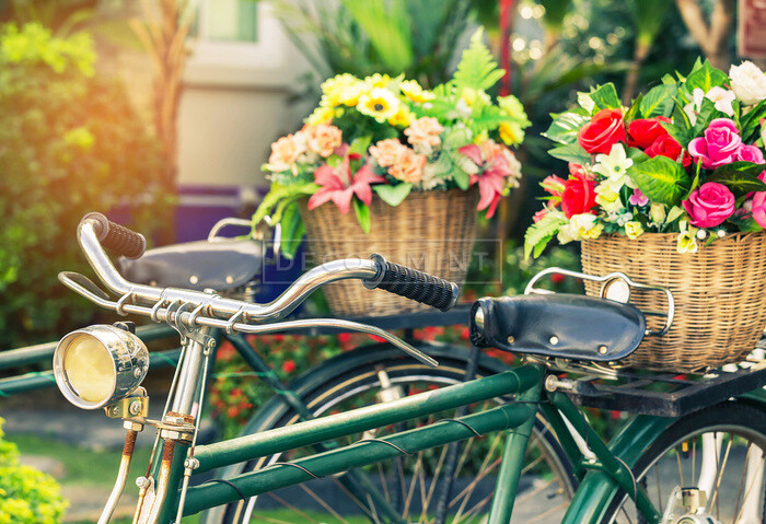 rowery w kwiatachod Renatki - 12454448.jpg