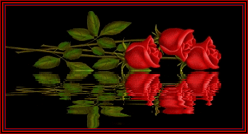  Róże - rozsa1.gif