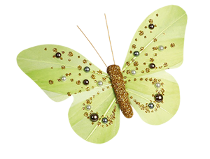 motyle,owady - kTs_papillon11.png