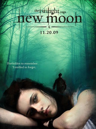 Zmierzch - new-moon-new-moon-movie-6152119-960-1280.jpg
