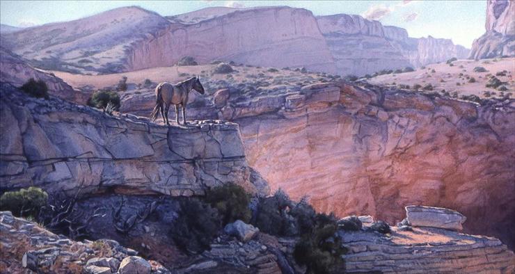David Yorke - David Yorke_Bighorn Canyon.jpg