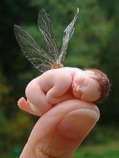 n95 8gb i nie tylko - Baby Fairy.jpg