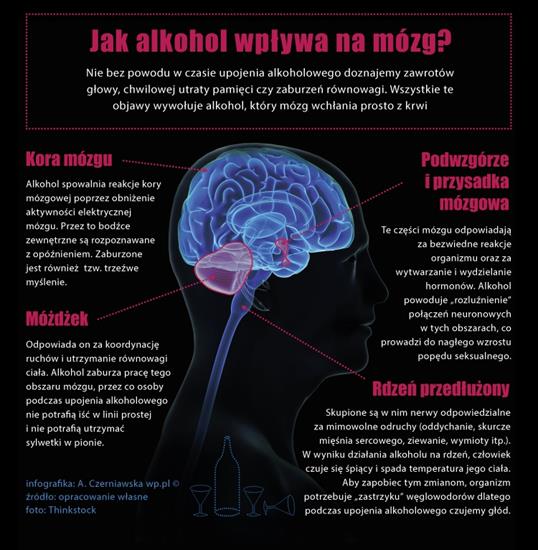 Infografika - alkohol_infografika2.jpeg