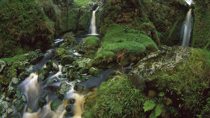 tapety na kompa - Cascading Waterfalls Among Ferns and Mosses, Gough Island.jpg