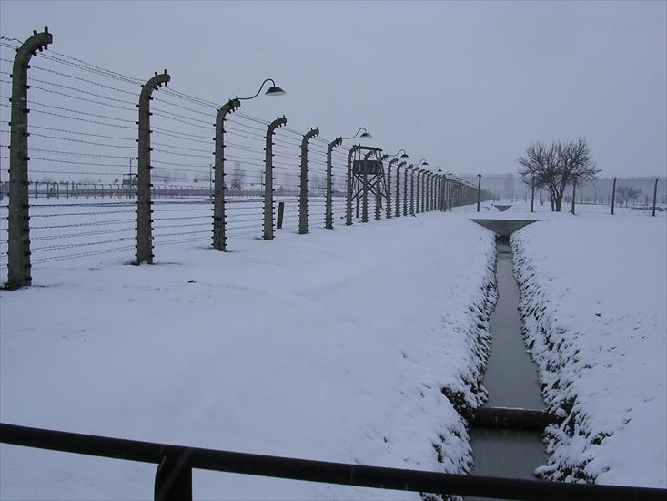 Auschwitz - Birkenau - 08 et 09.02.2004 - 022 - Auschwitz-Birkenau.jpg