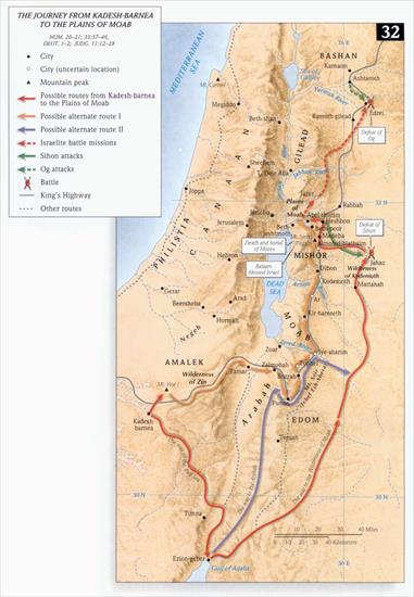 Palestyna - Żydzi - Exodus - wydarzenia 2.jpg