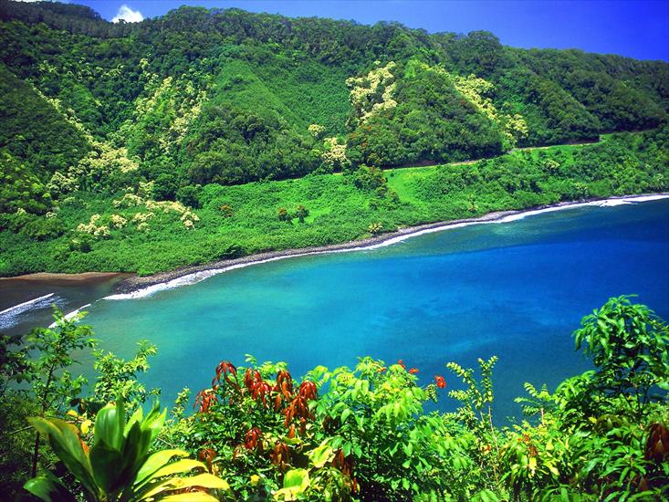 Tapety FREE - tapety_Turquoise_Lagoon_Maui_Hawaii.jpg