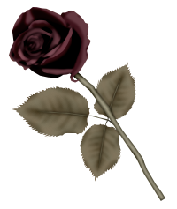 kwiaty IV - Yvette_KindaVintage_Rose2.png