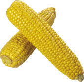 N PNG 9 - corn_PNG5272-170x167.png