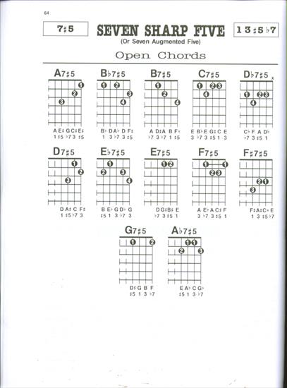 GUITAR CHORDS PG 51_75 - GUITAR CHORDS PG 64.JPG